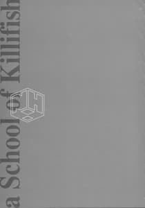 Page 3: 002.jpg | A SCHOOL OF KILLIFISH | View Page!