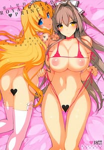 Page 1: 000.jpg | Aijin Keiyaku ROYALGUARDPRINCESS | View Page!