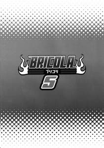 Page 3: 002.jpg | BRICOLA5 | View Page!