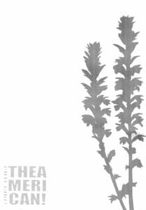 Page 2: 001.jpg | CUTE GIRL! THE AMERICAN! | View Page!