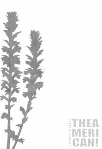 Page 3: 002.jpg | CUTE GIRL! THE AMERICAN! | View Page!