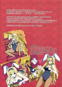 Page 13: 012.jpg | Cecilia Usagi wa Hatsujou Chuu | View Page!