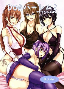 Read DOA Harem 2 with English Translation