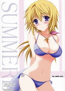 Read Futari no Natsu Monogatari with English Translation