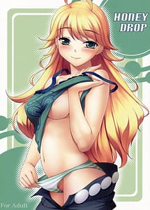 Read HONEY DROP with English Translation