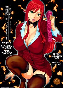 Read Ichido de Iikara Onegai Shitai Teacher with English Translation