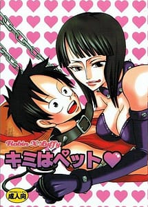 Read Kimi wa Pet with English Translation