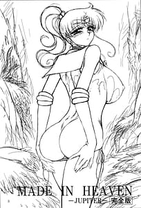 Page 3: 002.jpg | MADE IN HEAVEN -JUPITER | View Page!