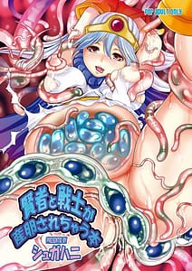 Page 1: 000.jpg | Momoiro Rip - Sage And Warrior Spawning Book | View Page!