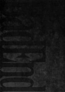 Page 9: 008.jpg | Nan to Iu Kao wo Shiteiru Marude Sakari no Tsuita Mesuinu no You Dewa Naika | View Page!