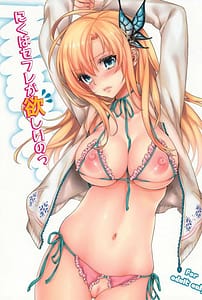 Page 1: 000.jpg | Niku wa Sefure ga Hoshii no | View Page!