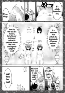Page 14: 013.jpg | Nyancology -Kaette Kita Nekota-san no Himitsu | View Page!