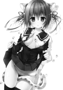 Page 3: 002.jpg | Nyancology 3 -Nekota-san to Houkago Kakurenbo | View Page!