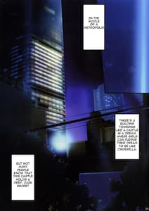 Page 2: 001.jpg | PILE EDGE MIRAGE DOLL | View Page!