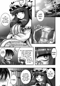 Page 4: 003.jpg | Patchouli ga Shounen wo Gyaku Re suru Hanashi | View Page!