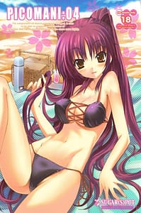 Page 1: 000.jpg | Picomani 04 | View Page!