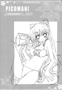 Page 2: 001.jpg | Picomani 04 | View Page!