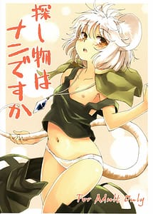 Read Sagashimono wa Nan Desu Ka with English Translation