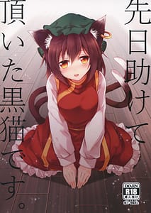 Page 1: 000.jpg | Senjitsu Tasukete Itadaita Kuroneko desu | View Page!