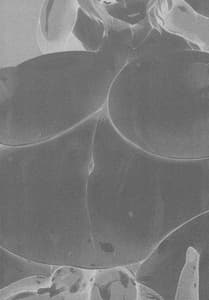 Page 2: 001.jpg | Shokushu Chireiden -Komeiji Satori | View Page!