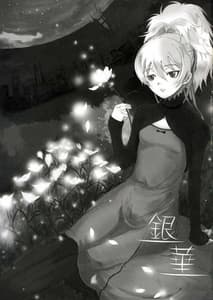 Page 2: 001.jpg | Silver Flower | View Page!