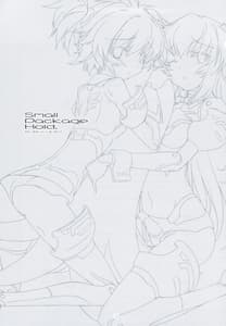 Page 2: 001.jpg | Small Package Hold | View Page!