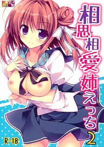 Page 1: 000.jpg | Soushisouai Ane Ecchi | View Page!