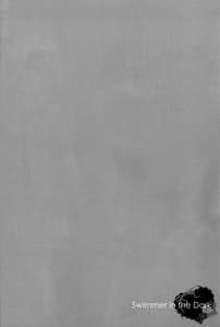 Page 4: 003.jpg | Swimmer in the Dark biribiri | View Page!