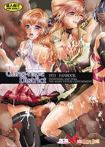 Read The Gang-Rape District with English Translation