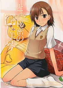 Read Toaru Himitsu no Oneesama with English Translation