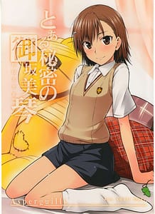 Page 1: 000.jpg | Toaru Himitsu no Oneesama | View Page!