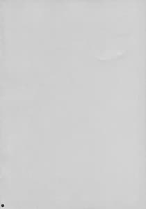 Page 4: 003.jpg | Try Escalation | View Page!