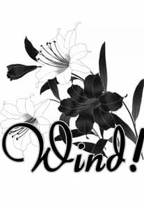 Page 3: 002.jpg | Wind! | View Page!