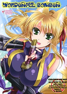 Read Wonderful Bomber with English Translation