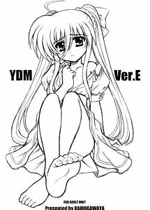 Read YDM Ver.E with English Translation