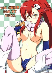 Read You Cried For My Drill with English Translation