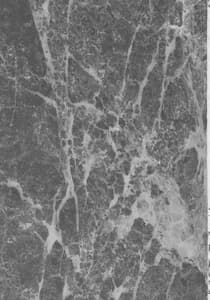 Page 3: 002.jpg | ff fortissimo | View Page!