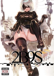 Read 2B9S with English Translation
