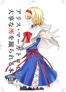 Read Alice Margatroid ni Daiji na Tokoro o Kerareru Hon with English Translation