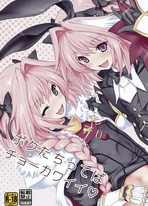 Read Boku-tachi tteba Chou Kawaii with English Translation