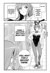 Page 5: 004.jpg | Bunny Lovers | View Page!