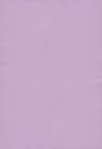 Page 2: 001.jpg | COMET 12 Haruiro Azobi | View Page!