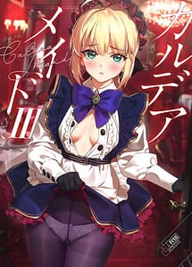 Read Chaldea Maid 3