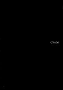 Page 4: 003.jpg | Citadel | View Page!