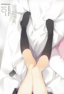 Page 6: 005.jpg | Dakimakura Gashuu -Kaimin Shoujo | View Page!