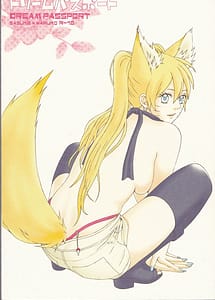 Read Dream Passport ongoing with English Translation