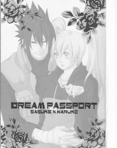 Page 2: 001.jpg | Dream Passport ongoing | View Page!