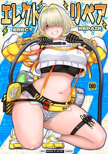 Page 1: 000.jpg | Erect Repair | View Page!