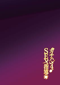 Page 3: 002.jpg | Gachihame SEX Shidou 4 | View Page!