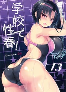 Read Gakkou de Seishun! 13 with English Translation